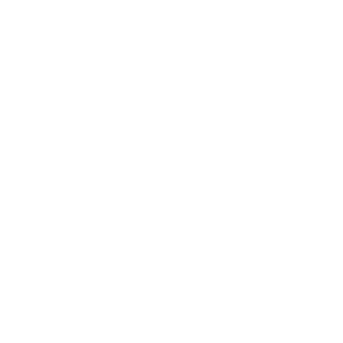 Wütendes Buch von Anna Schnitzer