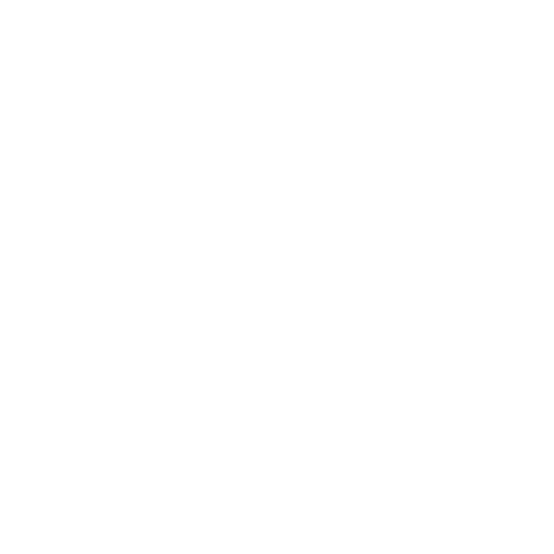 Wütendes Buch von Annika Ossenbrunner