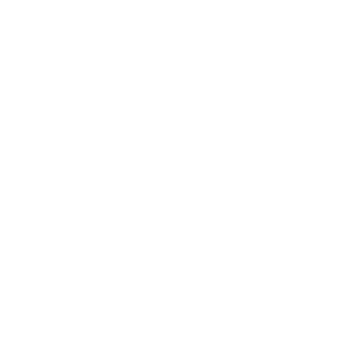 Wütendes Buch von Anna Grill